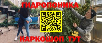 шишки Краснознаменск