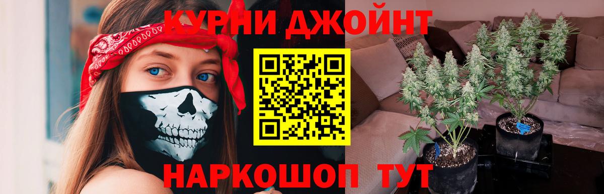 Бошки марихуана OG Kush  Шишки марихуана AK-47  Бошки марихуана ГИДРОПОН  Вход с VPN  Бошки Шишки OG Kush  Звенигород 